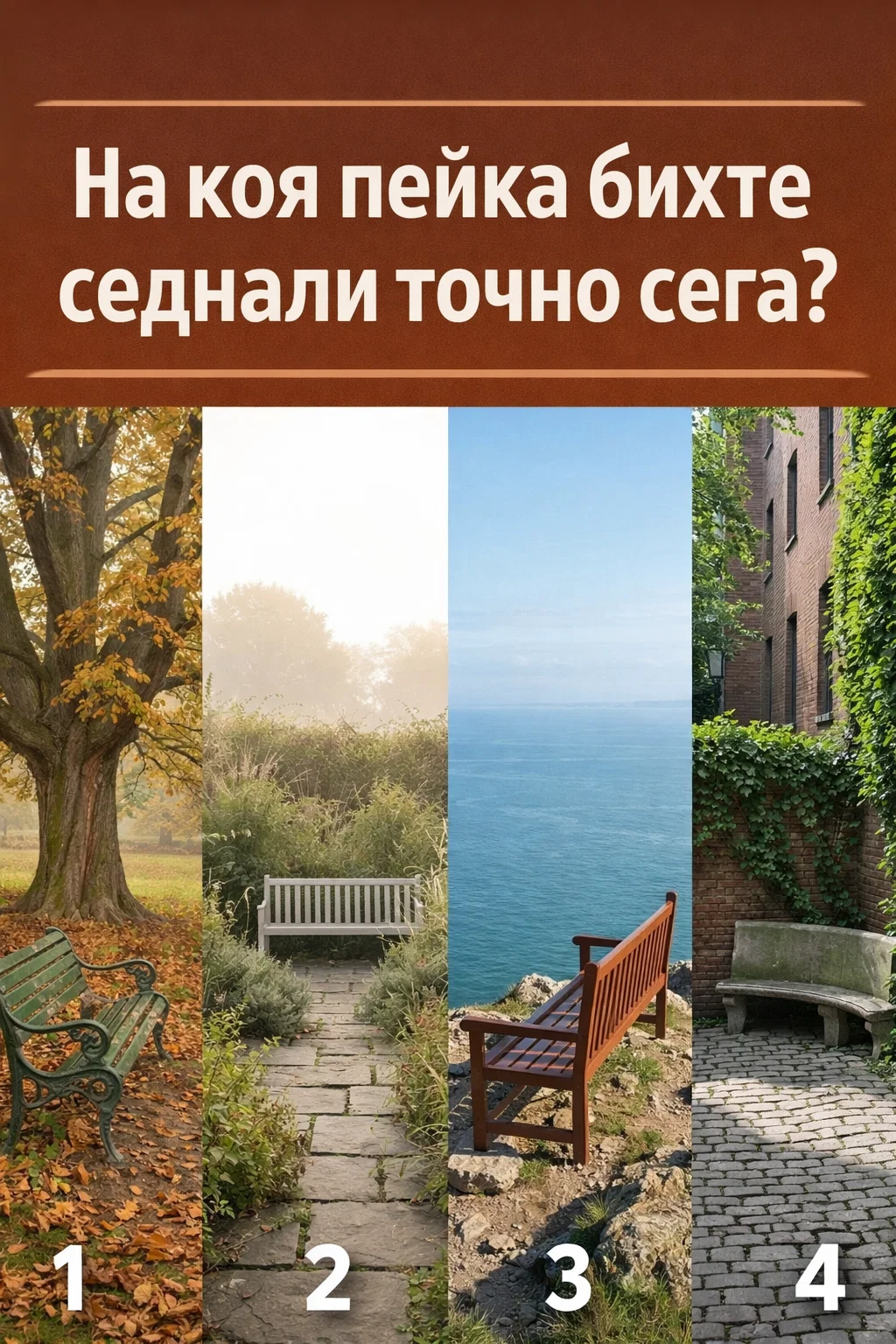 Коя от тези пейки бихте избрали точно в този момент? Напишете номера на тази, която най-силно ви привлича. 👇 3 task 01kmd5d3jse29vz8jcs3t4pd18 1774263406 img 1