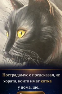 Нострадамус е предрекъл, че хората, които отглеждат котка у дома, ще… 👇 Виж повече 60 task 01kn1ryn3hfjxvqz0msd4rcmgw 1774954995 img 0