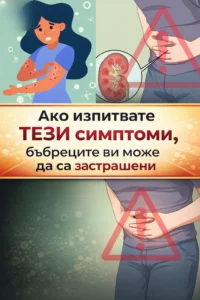 Ранни признаци на бъбречно заболяване и как да предпазите бъбреците си 😲 44 task 01kn1w6aevffxbjx43y9z9rwj6 1774958439 img 1