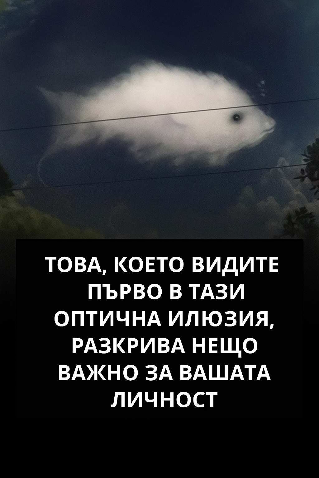 20251030 1420 optichna ilyuziya i