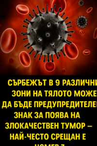 Сърбеж в 9 различни области на тялото: възможен предупредителен сигнал за развитие на злокачествени образувания – седмата зона е най-често срещана 👇👇 146 20251031 1329 tumor predupreditelni znaczi remix 01k8x0bsnhfzkvh07mnqbct6w3