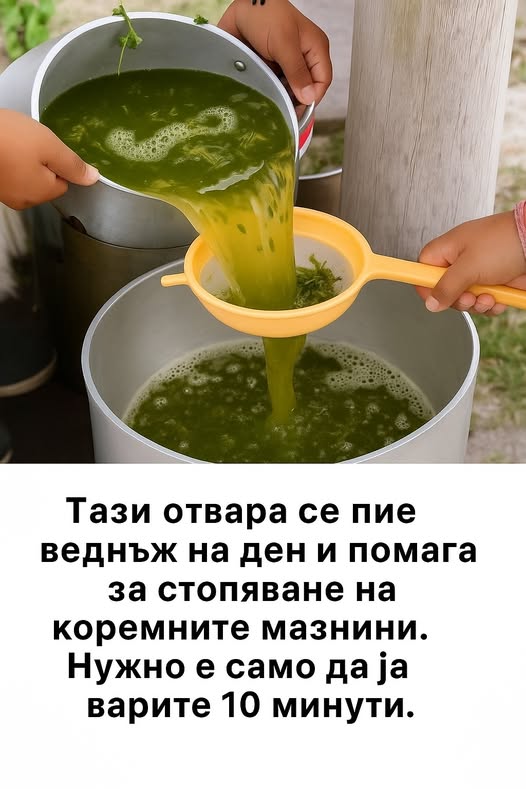 👉 Пийте от тази вода веднъж на ден и тя изгаря коремните мазнини. Просто я варете 10 минути. 3 586713830 122173226528593989 4963006873980438797 n