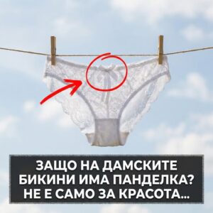 Защо на дамските бикини има малка панделка – не е само за красота 👇 14 657368340 1412945263969602 1119311071732735631 n