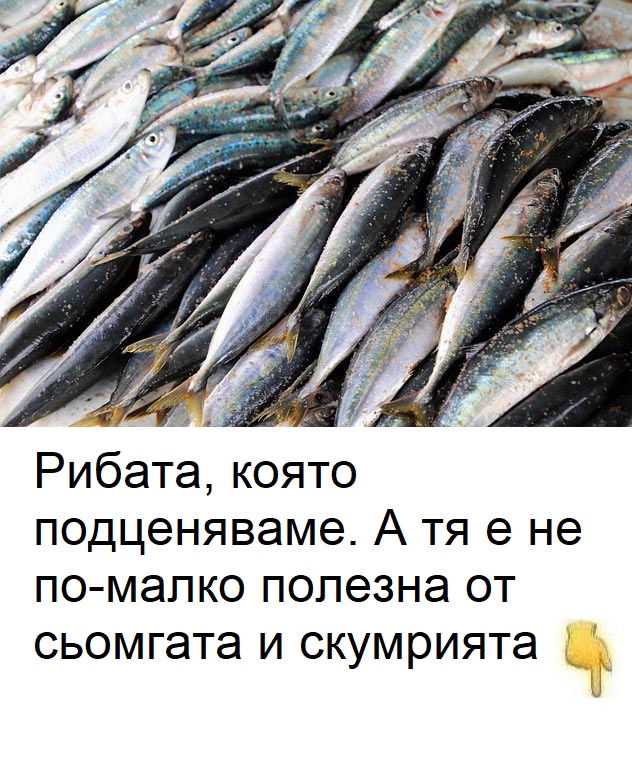 Рибата, която подценяваме. А тя е не по-малко полезна от сьомгата и скумрията. 👇👇👇 3 662908043 1626632235693087 3915756854321072901 n