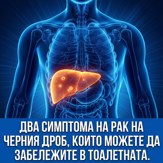Два симптома на рак на черния дроб, които можете да забележите в тоалетната – не ги пренебрегвайте... Вижте повече ⬇️ 3 668565782 980773524516428 8250392930854694836 n