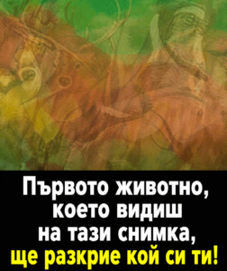 💥Открий първото животно, което ти привлече вниманието💫 — 20 chatgpt image 24.04.2026 g. 11 56 14