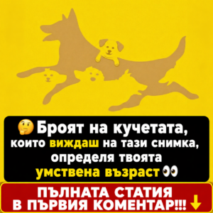 🤔Броят на кучетата, които виждаш на тази снимка, определя твоята умствена възраст👀 2 chatgpt image 24.04.2026 g. 12 14 16