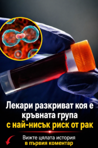 Проучвания показват, че три кръвни групи имат повишен риск от развитие на рак. Вижте по-долу 👇 38 chatgpt image 29.04.2026 g. 12 38 13