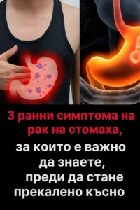 Бъдете нащрек – тези три тревожни сигнала не бива да се пренебрегват 👇 22 task 01kbj1y30sffnbt5q1283evt3t 1764763950 img 1