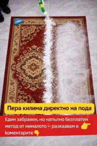 Почиствам килима директно върху пода, без пране 🤩☝️: един позабравен, но напълно безплатен метод от миналото 😉 50 task 01kn4bvcn7eqa9besa43q0t7d6 1775041924 img 1