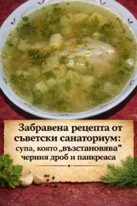 Забравена рецепта от стар санаториум: супа, която подпомага черния дроб и панкреаса 14 task 01kn9kk4j6eay8akqw48n4rr6f 1775217861 img 1