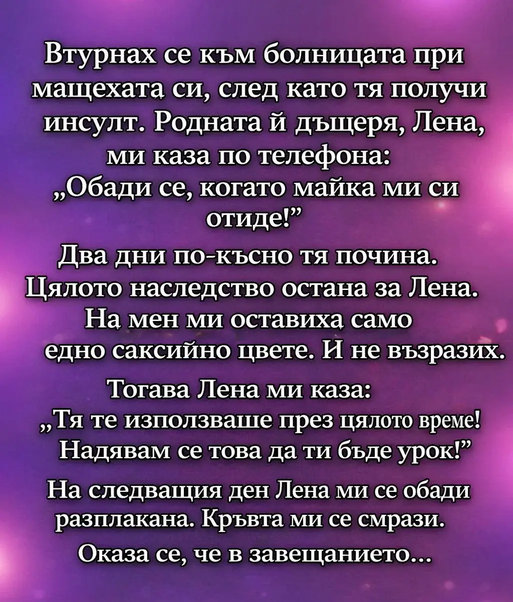 След смъртта на мащехата ми нейната дъщеря ликуваше: къщата, парите и цялото наследство бяха останали за нея, а на мен — само една саксия с цвете. Тя каза, че това ще ми бъде урок. 3