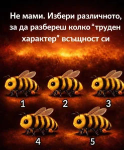 Не мами. Избери различното, за да разбереш колко „труден характер“ всъщност си 20 task 01kpdct28qe8grn46a4bt12f21