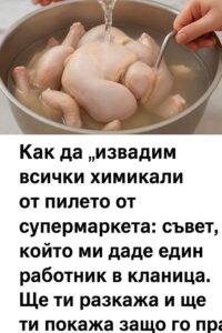 Как да „извадим“ всички химикали от пилето от супермаркета: съвет, който ми даде един работник в кланица. Ще ти разкажа и ще ти покажа защо го правя. 👇 44 559649330 822819296757971 6794715604218327453 n