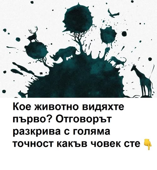 Кое животно видяхте първо? Отговорът разкрива с голяма точност какъв човек сте. 😱 3 565951942 1490528775970101 6535767944441796976 n