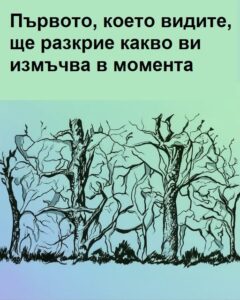 Първото, което видите, ще разкрие какво ви измъчва в момента. 😱 20 566378567 1488743326148646 6528250030967079106 n