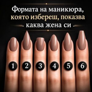 699544877 1028277169773203 4001391728584509082 n