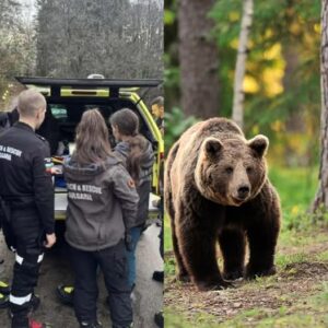 Експертиза разкри кой е убил мъжа, намерен обезобразен на Витоша 56 701561304 970196412422924 515631964253207920 n