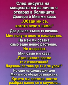 chatgpt image 15.05.2026 g. 10 14 19