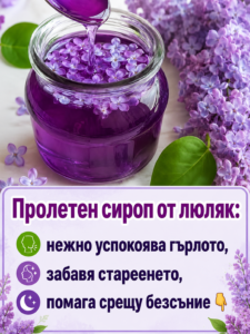 Пролетният сироп от люляк нежно успокоява гърлото, забавя стареенето, помага срещу безсъние и ухае невероятно! 😍 20 chatgpt image 17.05.2026 g. 12 50 58