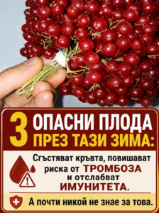 3 от най-опасните зимни плодове: могат да допринесат за сгъстяване на кръвта, риск от тромбози и отслабване на имунитета, а малко хора знаят за това. 44 chatgpt image 17.05.2026 g. 20 09 57