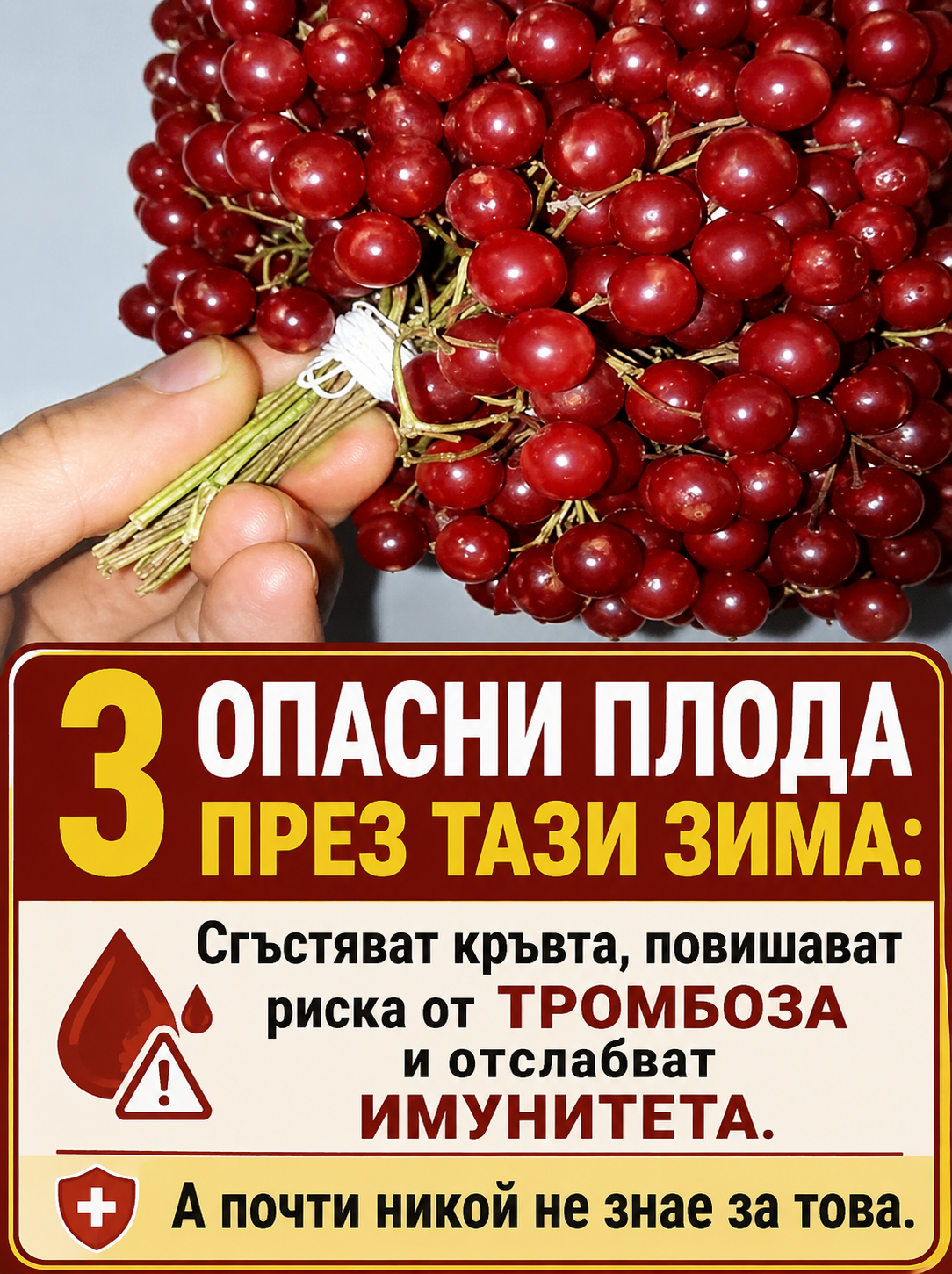 3 от най-опасните зимни плодове: могат да допринесат за сгъстяване на кръвта, риск от тромбози и отслабване на имунитета, а малко хора знаят за това. 3 chatgpt image 17.05.2026 g. 20 09 57