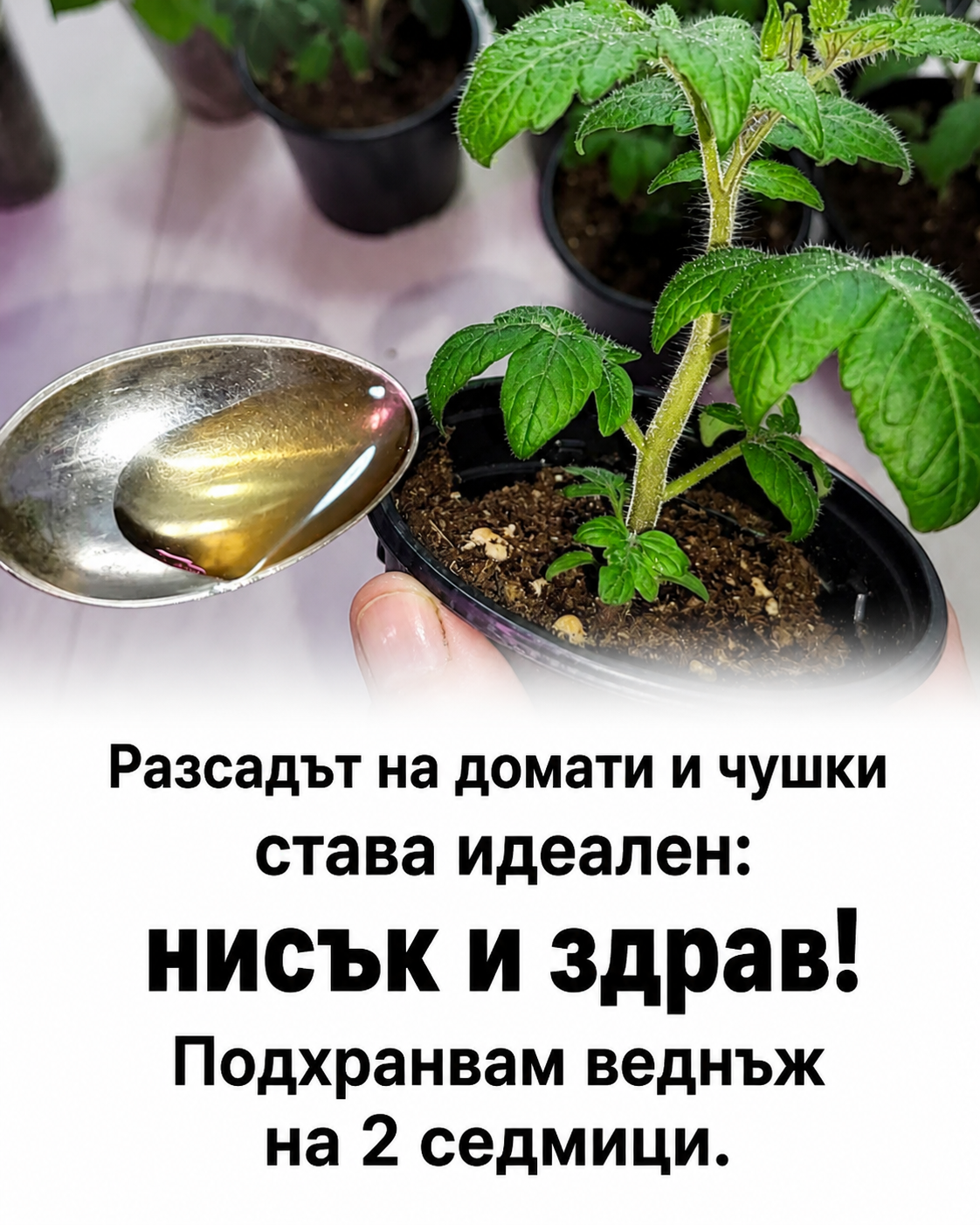 chatgpt image 2.05.2026 g. 19 00 00