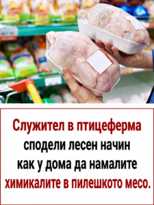 Служител от птицеферма сподели как у дома може да намалите остатъците от химикали в пилешкото месо 👇👇👇 42 chatgpt image 20.05.2026 g. 10 00 09