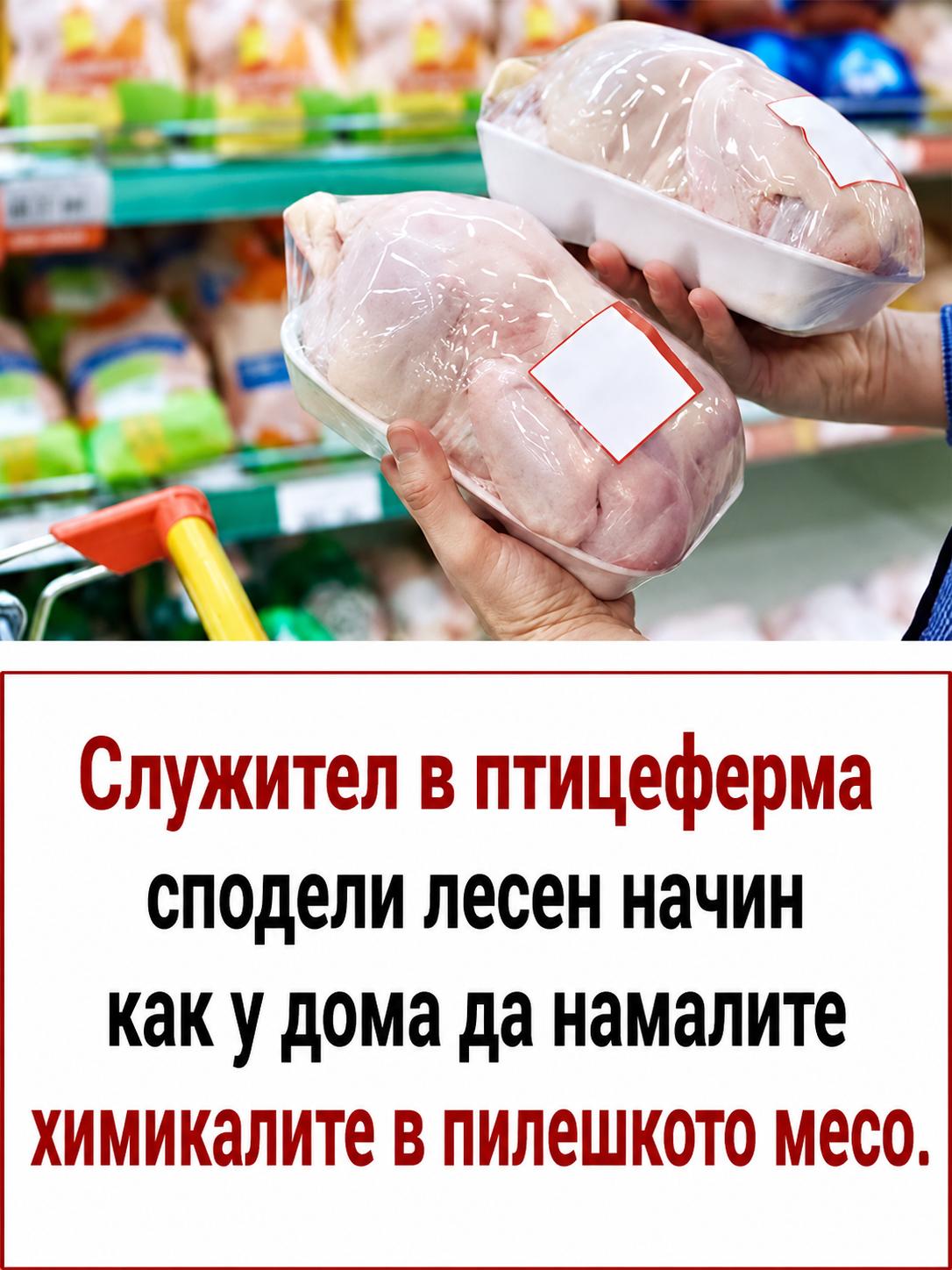 chatgpt image 20.05.2026 g. 10 00 09