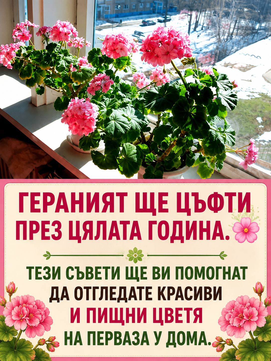 chatgpt image 24.05.2026 g. 16 24 25