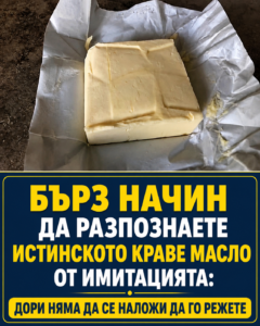 chatgpt image 26.05.2026 g. 11 22 31
