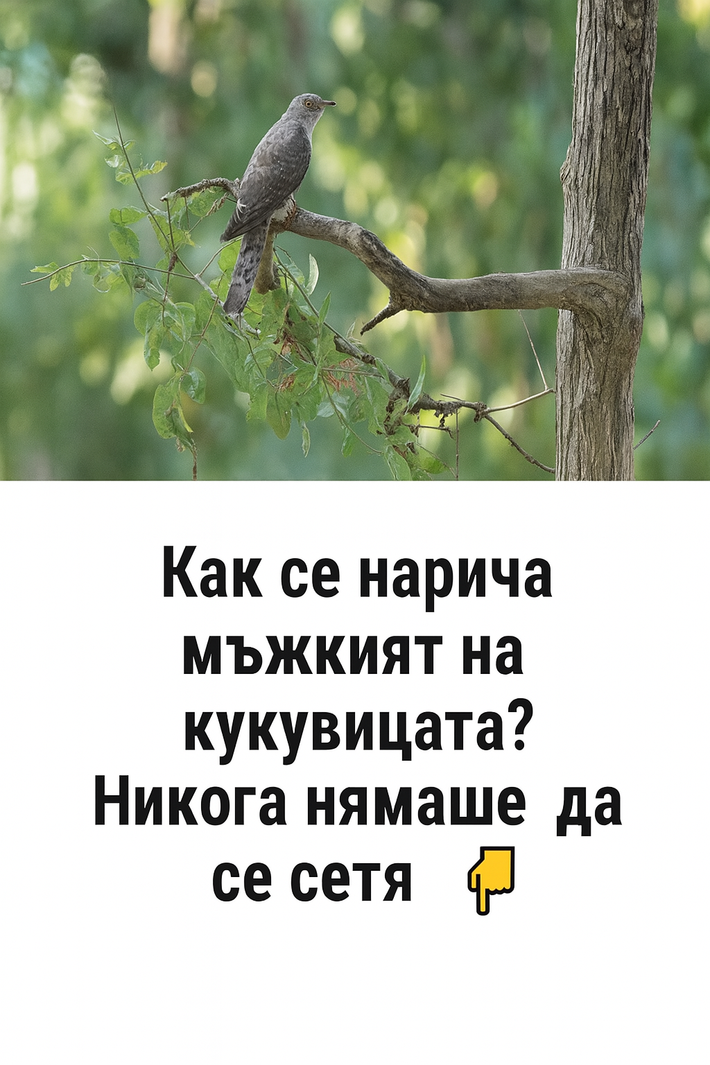 chatgpt image 27.07.2025 g. 14 30 06