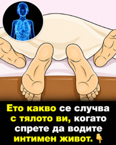 Ето какво се случва с тялото ви, когато спрете да водите интимен живот. 👇 44 chatgpt image 29.05.2026 g. 09 38 29