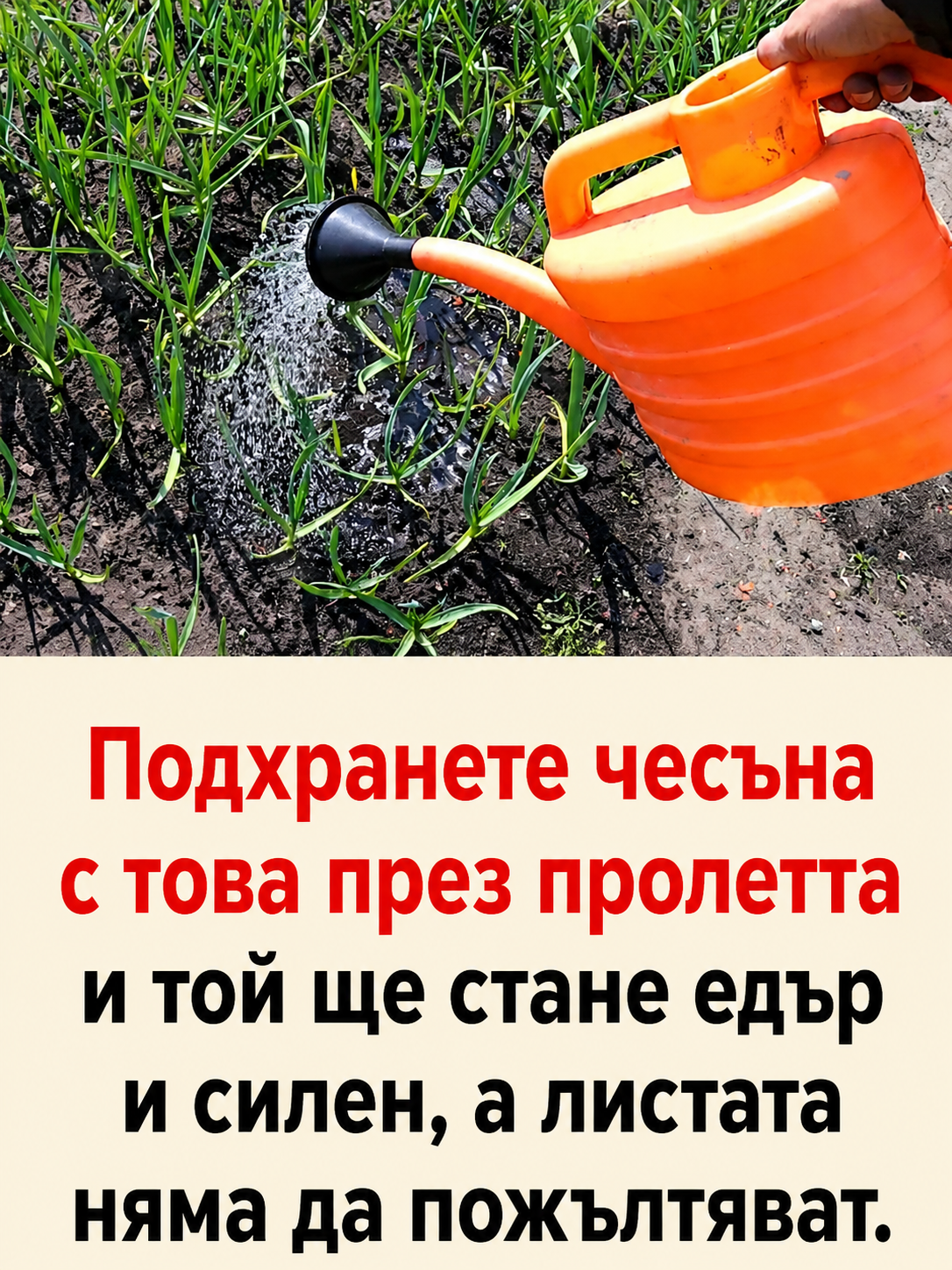chatgpt image 8.05.2026 g. 10 05 01