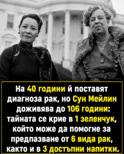Удивителният зеленчук, който според мнозина е помогнал на Сун Мейлин да доживее до 106 години 👇 2 chatgpt image 8.05.2026 g. 10 14 32