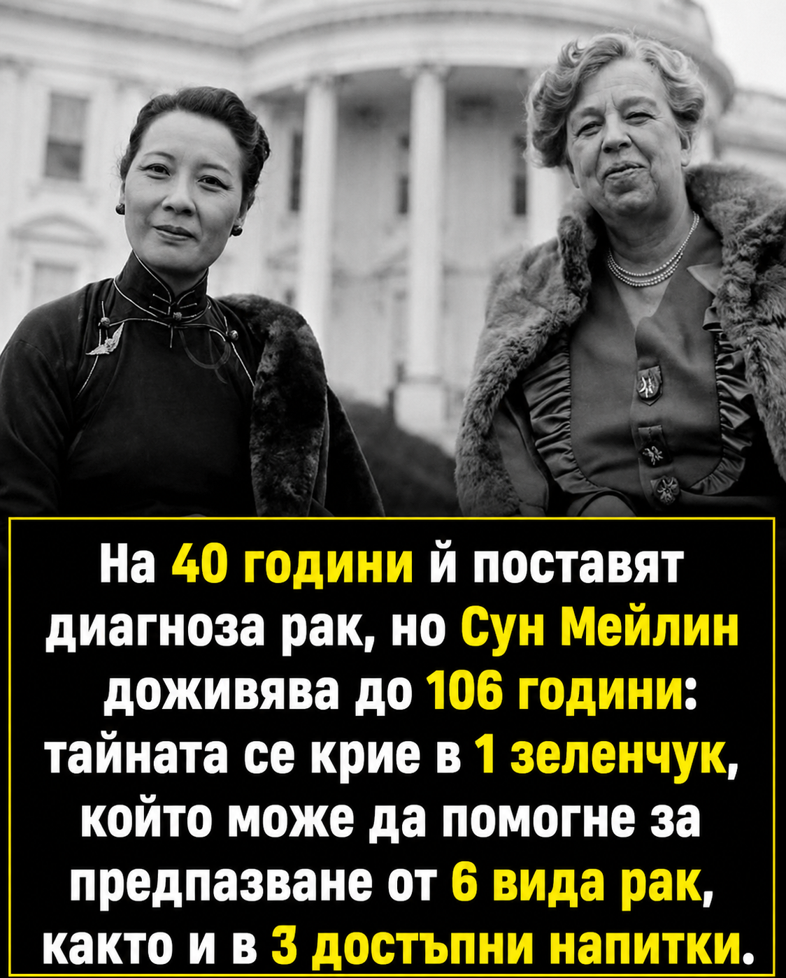 Удивителният зеленчук, който според мнозина е помогнал на Сун Мейлин да доживее до 106 години 👇 3 chatgpt image 8.05.2026 g. 10 14 32