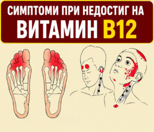 Чувствате се постоянно изморени? Ето 7 признака, които могат да подсказват недостиг на витамин B12 и не бива да бъдат подценявани! 👇 2 chatgpt image 8.05.2026 g. 10 58 25