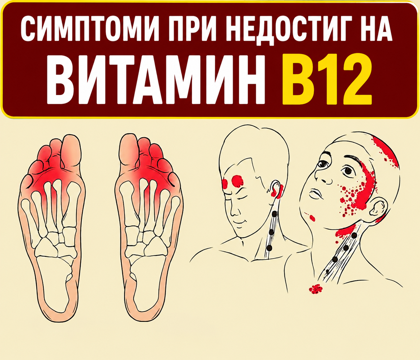Чувствате се постоянно изморени? Ето 7 признака, които могат да подсказват недостиг на витамин B12 и не бива да бъдат подценявани! 👇 3 chatgpt image 8.05.2026 g. 10 58 25