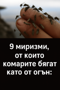 Девет миризми, от които комарите бягат като от огън: 44 chatgpt image 11.07.2025 g. 15 19 58