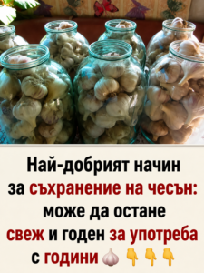 Най-добрият начин за съхранение на чесън: може да остане годен за употреба с години 👇👇👇 🧄 20 chatgpt image 12.06.2026 g. 15 40 49