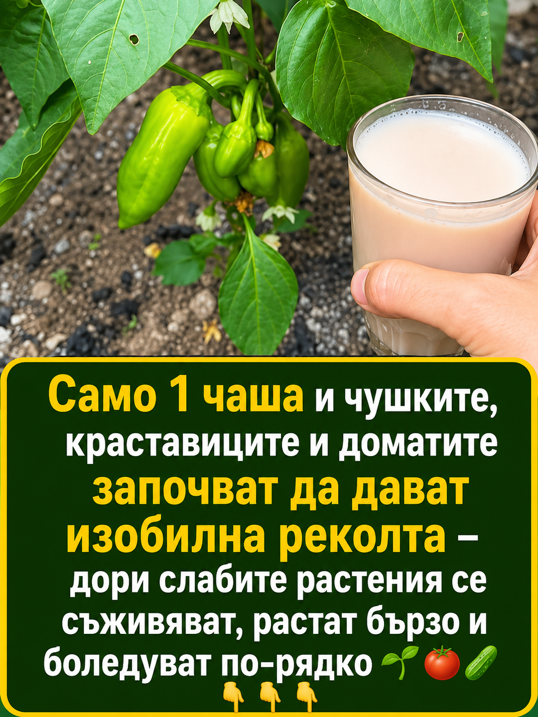 chatgpt image 17.06.2026 g. 14 33 50