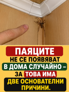 chatgpt image 30.06.2026 g. 15 03 17