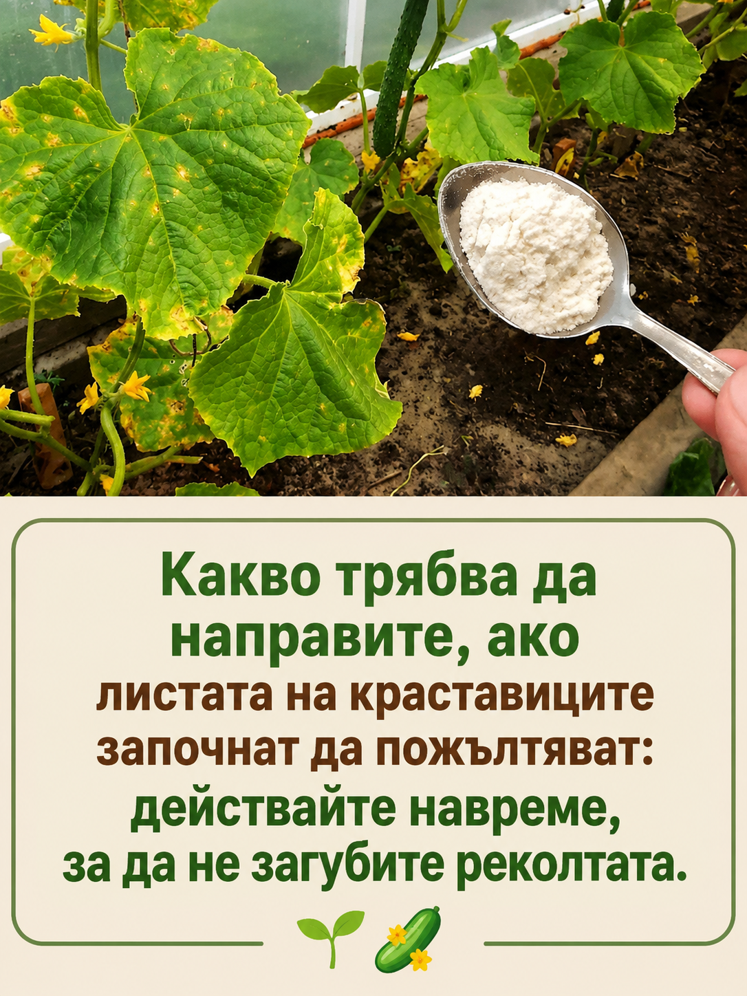 chatgpt image 4.06.2026 g. 10 53 16