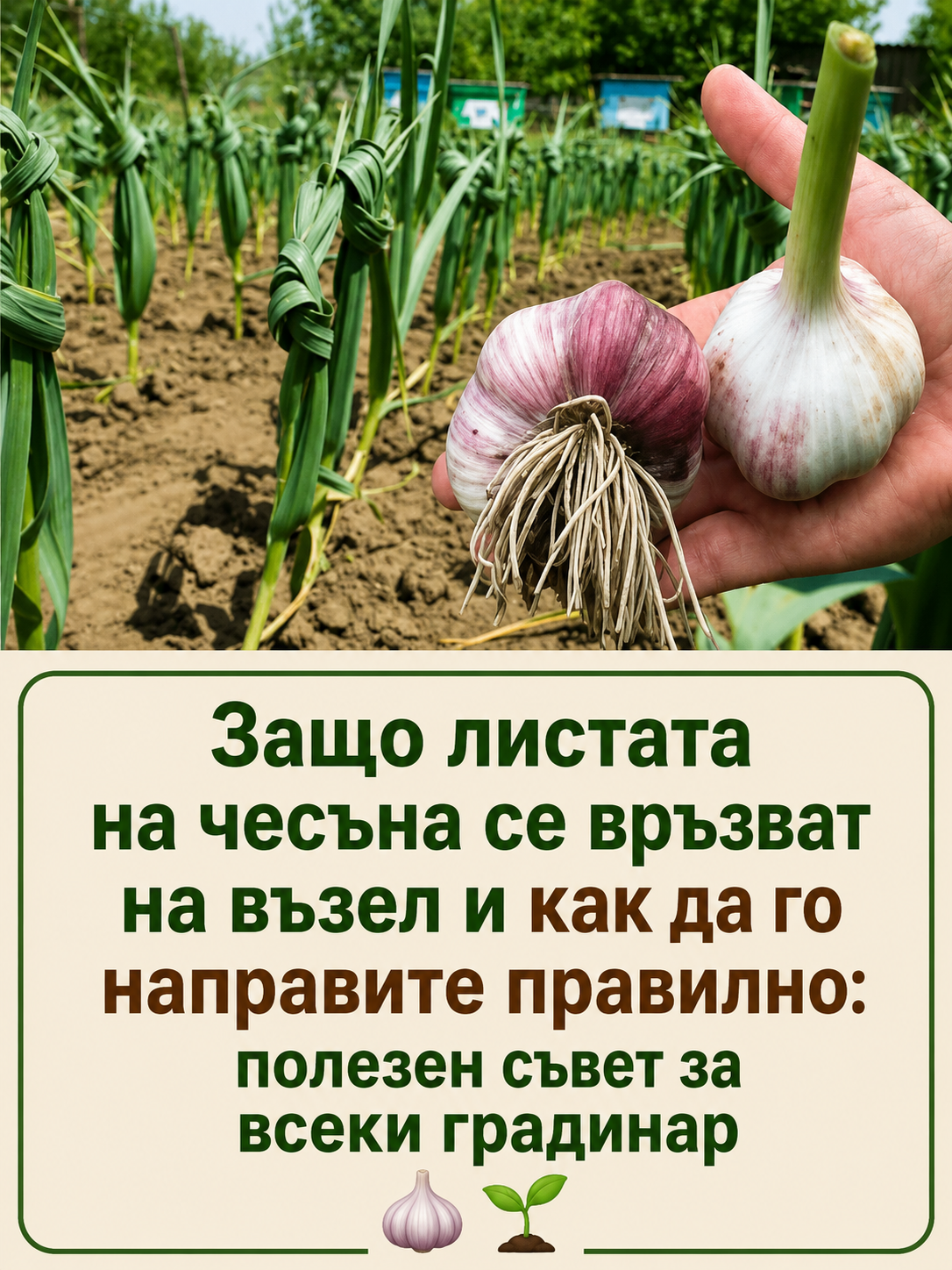 chatgpt image 4.06.2026 g. 10 57 28