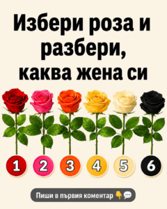 chatgpt image 6.06.2026 g. 13 34 47