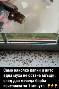 Само няколко капки и нито една муха не остана вкъщи: след два месеца борба изчезнаха за 1 минута. 8 chatgpt image 8.07.2025 g. 13 36 58