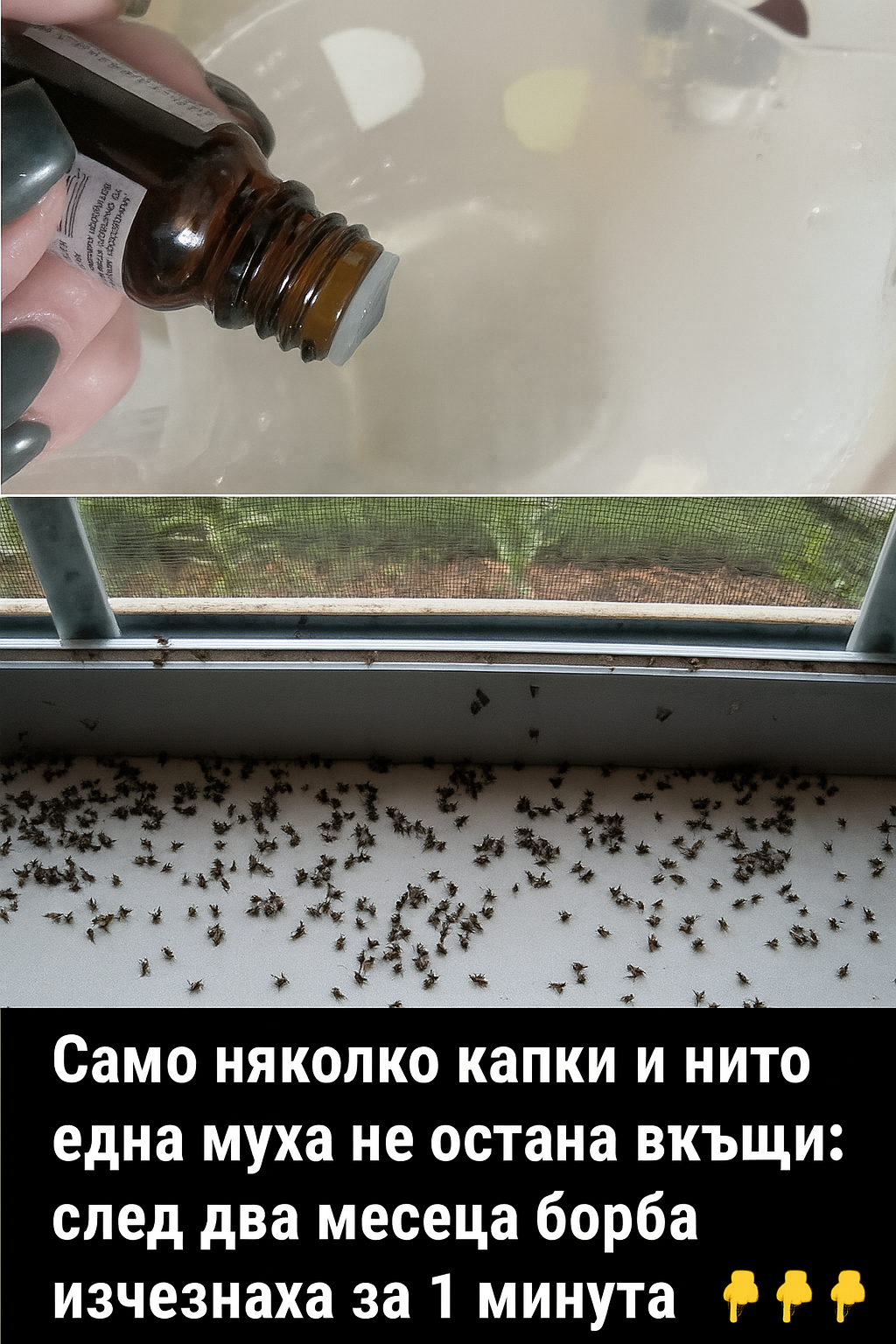 chatgpt image 8.07.2025 g. 13 36 58