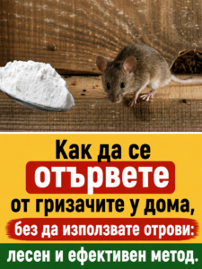 chatgpt image jun 30 2026 02 18 50 pm