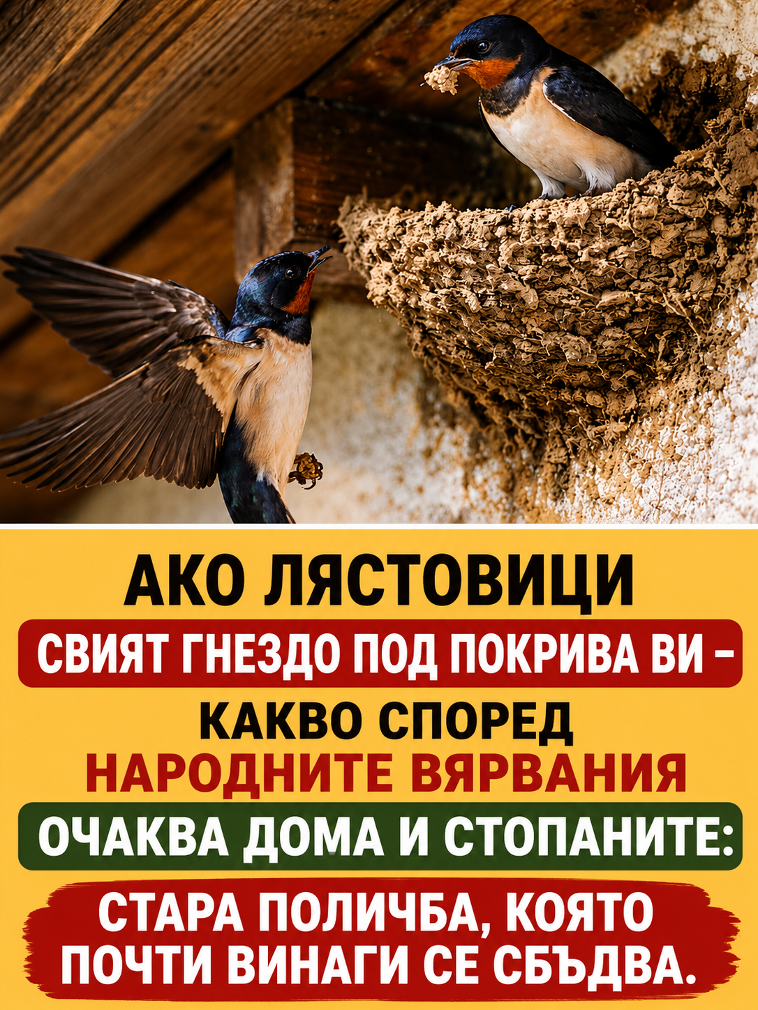 chatgpt image jun 30 2026 02 22 46 pm