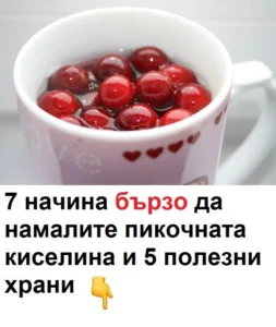 503715788 1380155310340782 1632127664373704613 n.jpg